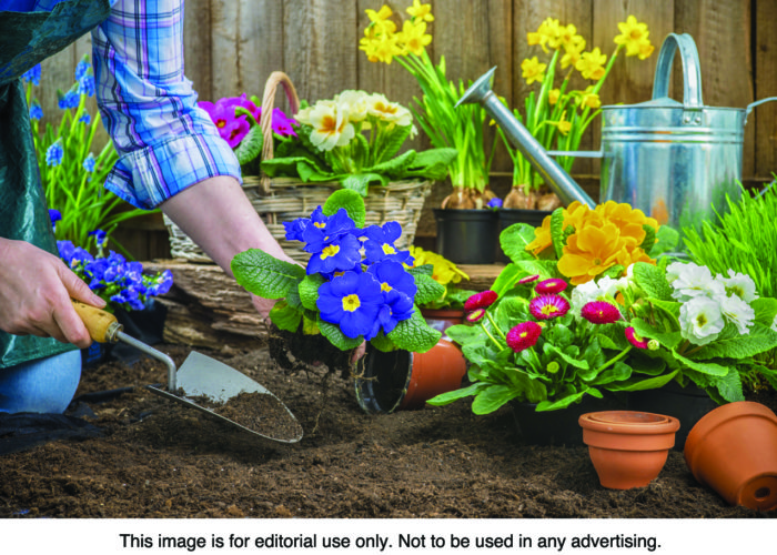 Avoid Aches and Pains When Gardening